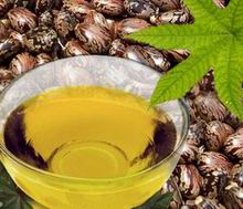 Castor Oil Processing