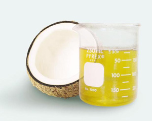 Coconut Oil Plant