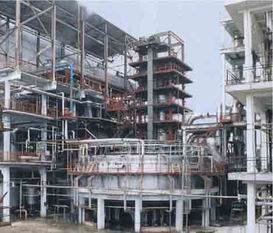 Vegetable Oil Extraction Plant