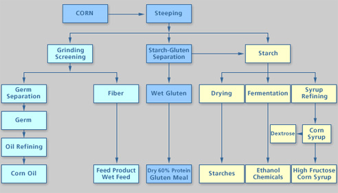 Corn Oil Production Process