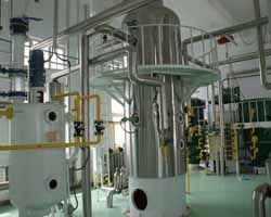 Vegetable Oil Refining Plants