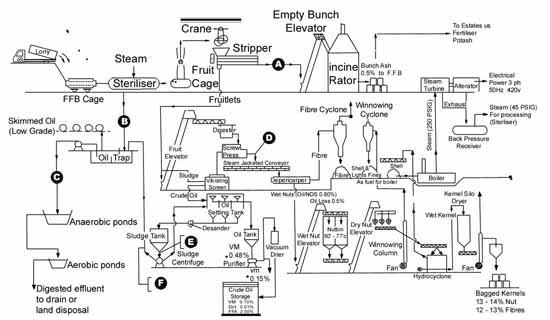 Crude Palm Oil Processing Plant