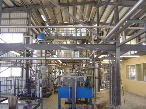 Edible Oil Plant.jpg