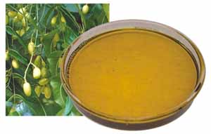 Extraction of Neem Oil