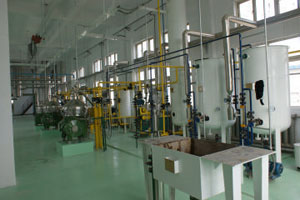 Oil Mill Machinery Supplier