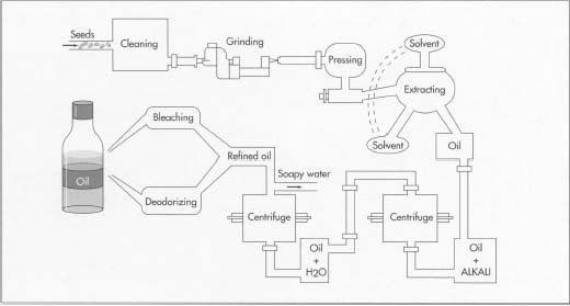 Cooking Oil Production Line