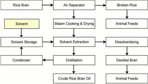 Rice Bran Oil Extraction Process