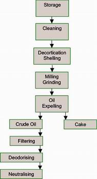 Sunflower Oil Plant