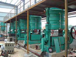 sunflower oil production plant