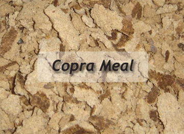 copra meal