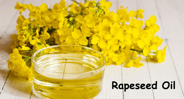 edible rapeseed oil