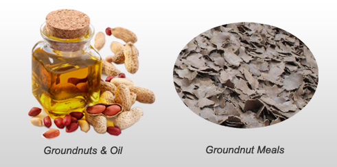 groundnut oil and groundnut meals