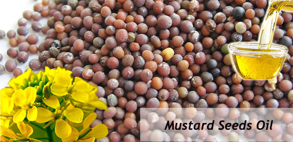 edible mustard seed oil