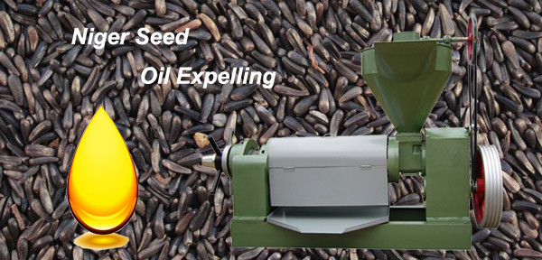 niger seeds oil expeller presses