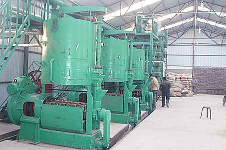 palm kernel oil production equipment