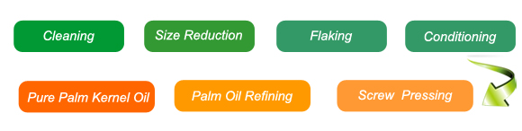 main process of palm kernel oil production