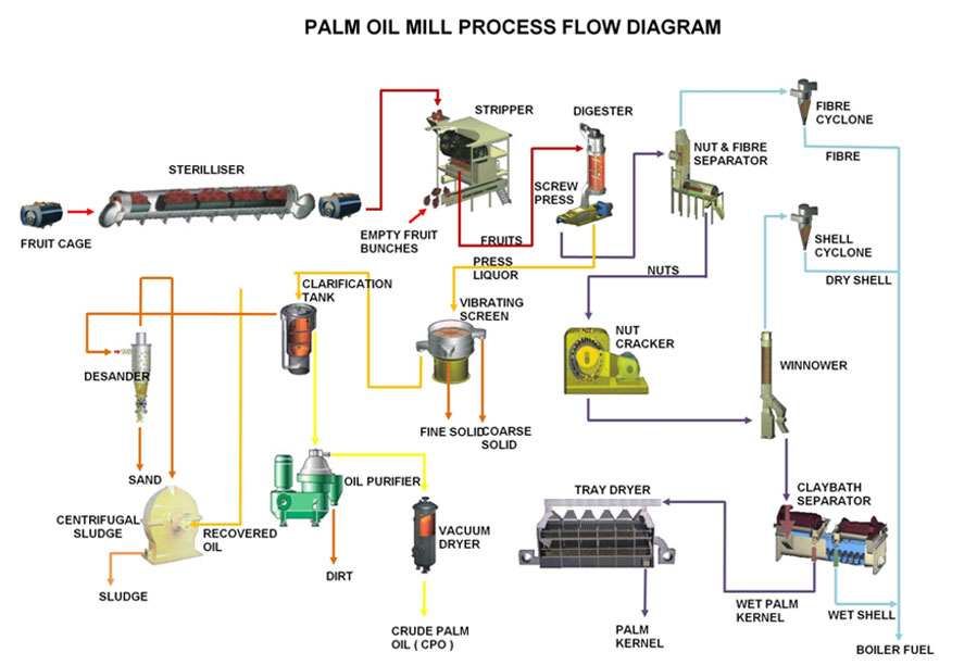 palm oil processing