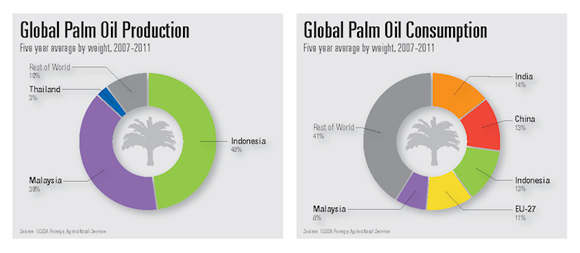 Which Country Consumes the Most Palm Kernel Oil in the World