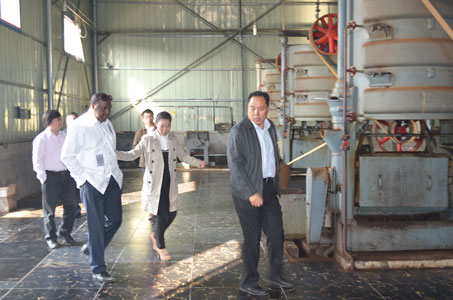 visiting a peanut oil expelling workshop in Neihuang