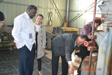 peanut oil projects visit in Neihuang