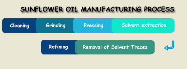 6 processes for sunflower oil making