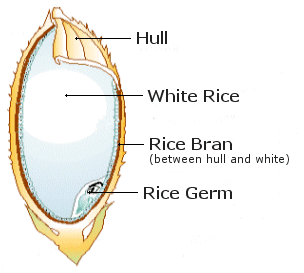 Rice Bran Oil Refining