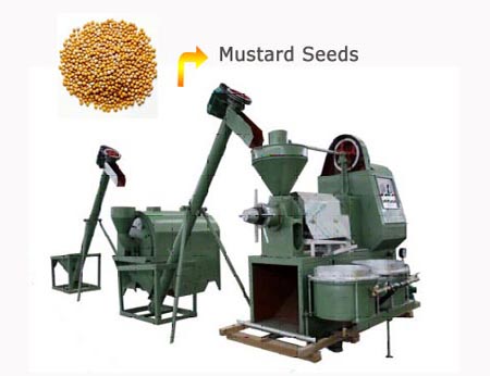 mustard oil extraction plant