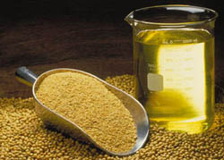 soya bean seed oil manufacturing process