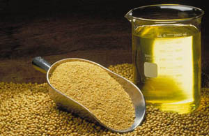Soybean Oil Plant