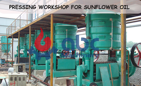 pressing part for sunflower oil processing