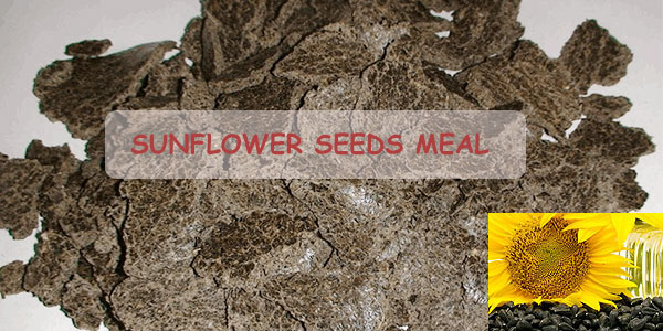 sunflower oil seeds meal