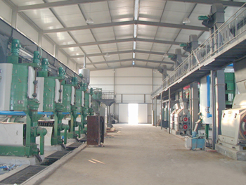 Plant Oil Extraction Line