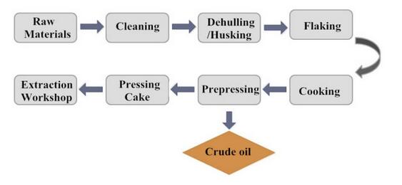 cottonseed oil production process